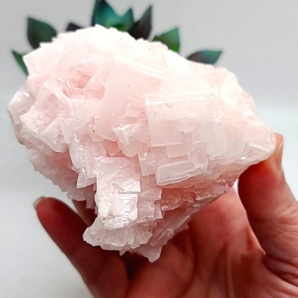 CLEARANCE Large Cotton Candy California Pink Halite Crystal Cluster H - Picture 5 of 5